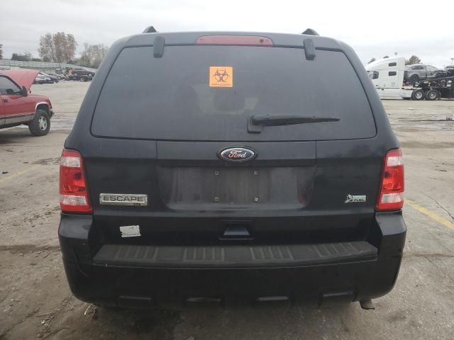 2010 Ford Escape XLT