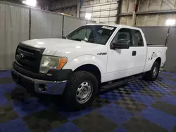 Clean Title Trucks for sale at auction: 2014 Ford F150 Super Cab