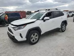 Salvage cars for sale at Arcadia, FL auction: 2020 Toyota Rav4 XLE