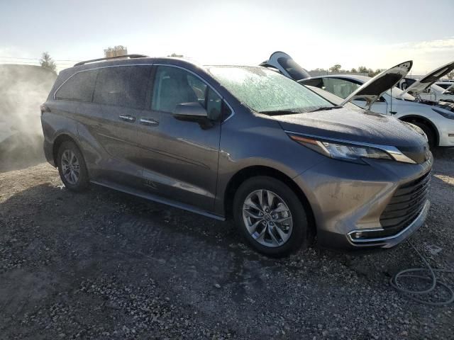 2023 Toyota Sienna XLE