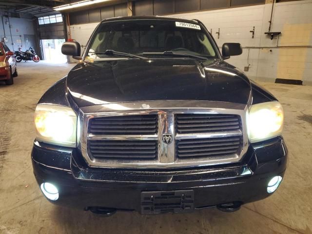 2005 Dodge Dakota SLT