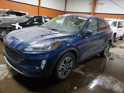 Salvage cars for sale at Rocky View County, AB auction: 2020 Ford Escape SEL