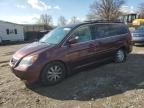 2008 Honda Odyssey EXL