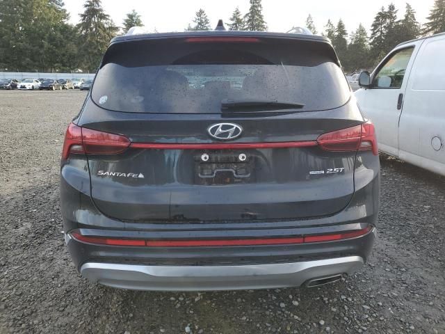 2022 Hyundai Santa FE Calligraphy