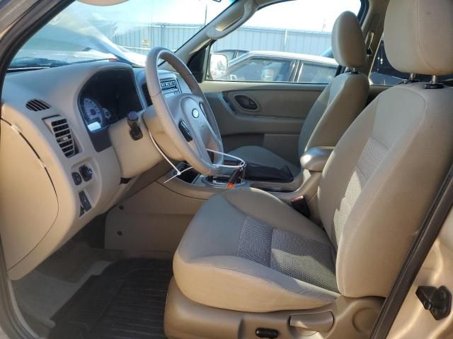 2007 Ford Escape XLT