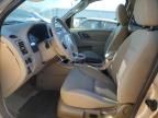 2007 Ford Escape XLT