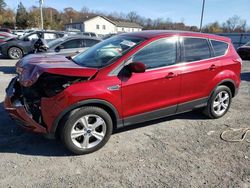 Salvage cars for sale at York Haven, PA auction: 2014 Ford Escape SE