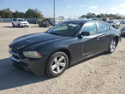 Dodge salvage cars for sale: 2014 Dodge Charger SE