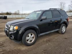 Ford Vehiculos salvage en venta: 2010 Ford Escape XLT