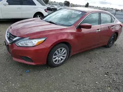 Nissan salvage cars for sale: 2016 Nissan Altima 2.5