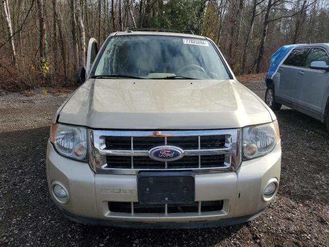 2010 Ford Escape XLT