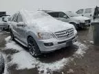 2007 Mercedes-Benz ML 500