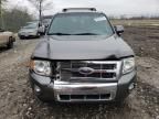 2009 Ford Escape Limited