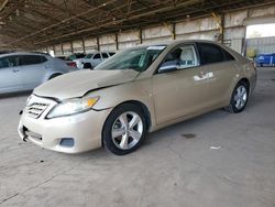 Vehiculos salvage en venta de Copart Phoenix, AZ: 2010 Toyota Camry Base