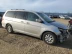 2008 Honda Odyssey EXL