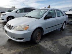 Salvage cars for sale from Copart Hayward, CA: 2008 Toyota Corolla CE