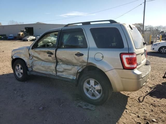 2011 Ford Escape XLT