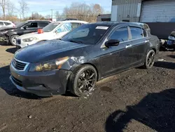 Honda salvage cars for sale: 2009 Honda Accord EXL