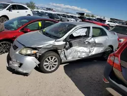 Salvage cars for sale at Tucson, AZ auction: 2009 Toyota Corolla Base