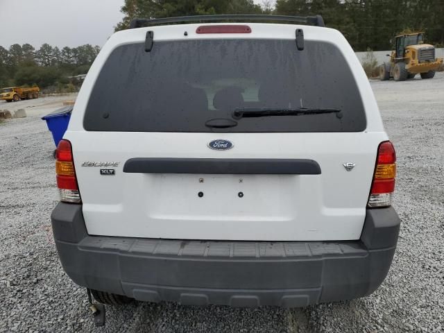 2007 Ford Escape XLT