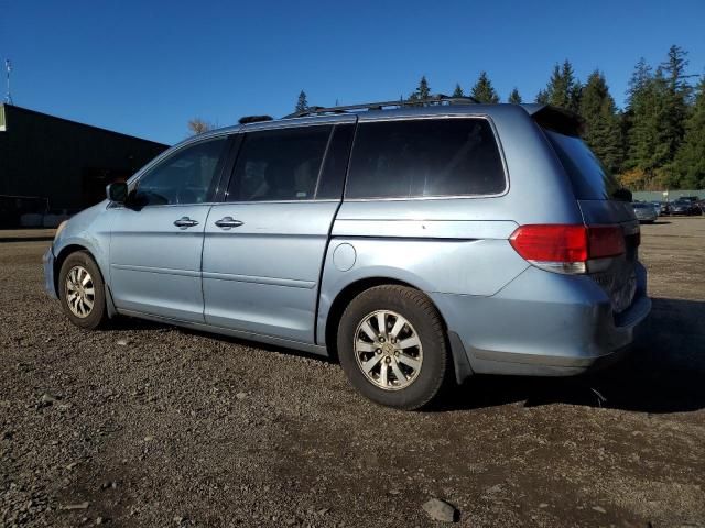 2008 Honda Odyssey EXL