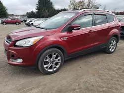 Salvage cars for sale at Finksburg, MD auction: 2015 Ford Escape Titanium