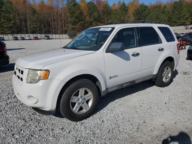 2009 Ford Escape Hybrid