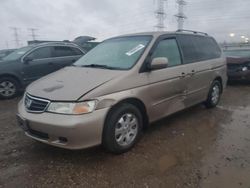 Honda Odyssey exl salvage cars for sale: 2003 Honda Odyssey EXL