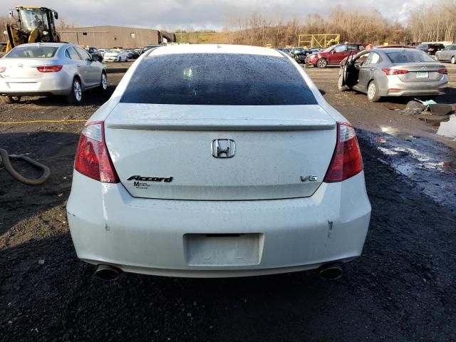 2010 Honda Accord EXL