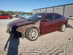 2009 Nissan Maxima S en venta en Apopka, FL