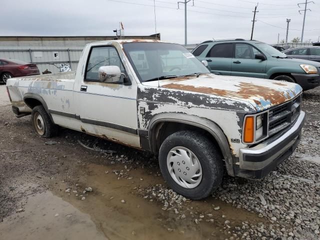 1989 Dodge Dakota