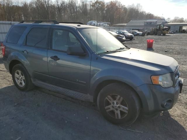 2010 Ford Escape Hybrid