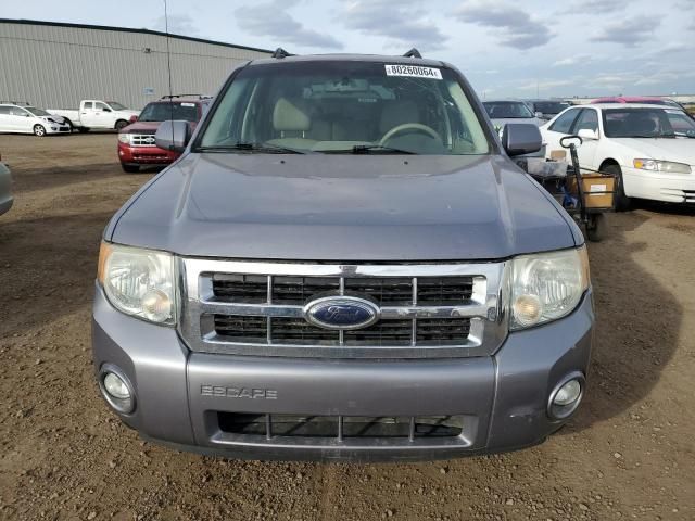 2008 Ford Escape HEV