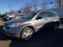 Salvage cars for sale at New Britain, CT auction: 2011 Honda CR-V EX