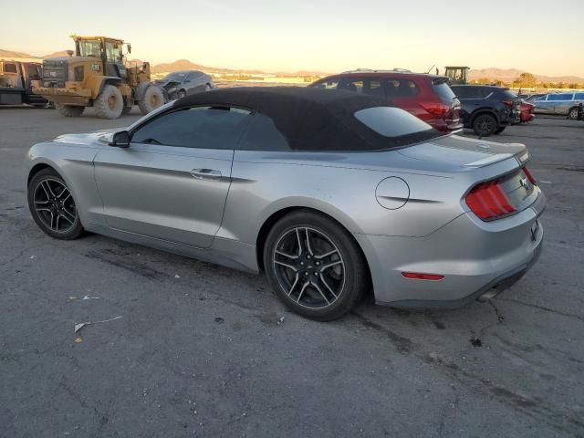 2019 Ford Mustang