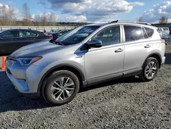 Toyota salvage cars for sale: 2017 Toyota Rav4 HV LE