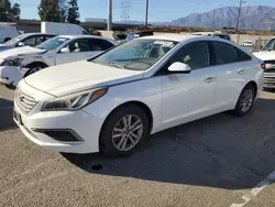 Hyundai Sonata se Vehiculos salvage en venta: 2016 Hyundai Sonata SE