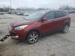 Salvage cars for sale at Fort Wayne, IN auction: 2014 Ford Escape Titanium