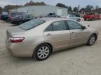 2007 Toyota Camry Hybrid