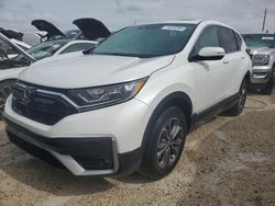 Honda salvage cars for sale: 2022 Honda CR-V EXL