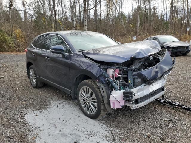 2024 Toyota Venza LE