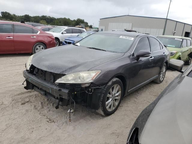 2010 Lexus ES 350