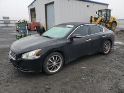 Salvage cars for sale from Copart Airway Heights, WA: 2011 Nissan Maxima S