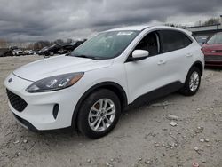 Salvage cars for sale at Wayland, MI auction: 2021 Ford Escape SE