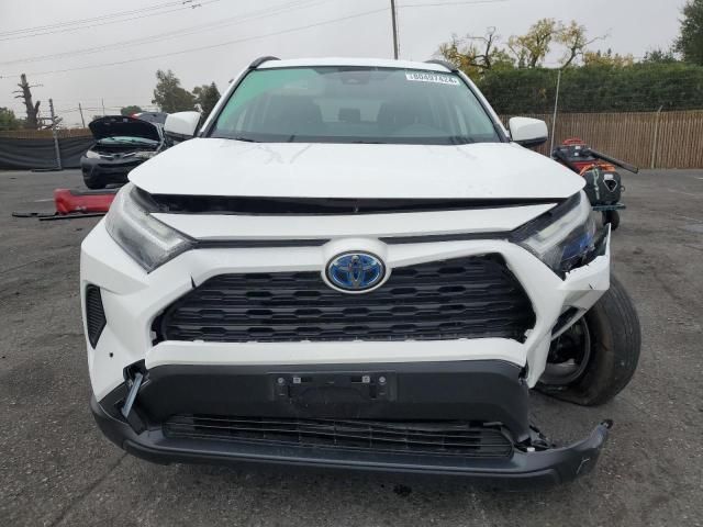 2023 Toyota Rav4 LE