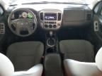 2005 Ford Escape XLT