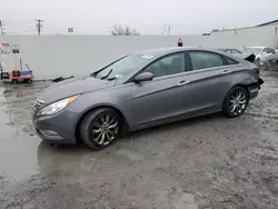 Salvage cars for sale at Albany, NY auction: 2012 Hyundai Sonata SE