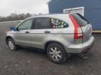 2007 Honda CR-V EX