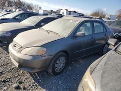 Toyota Vehiculos salvage en venta: 2004 Toyota Corolla CE