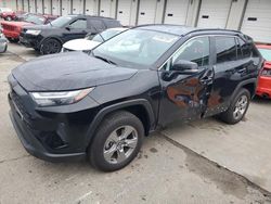 Salvage cars for sale at Louisville, KY auction: 2024 Toyota Rav4 XLE